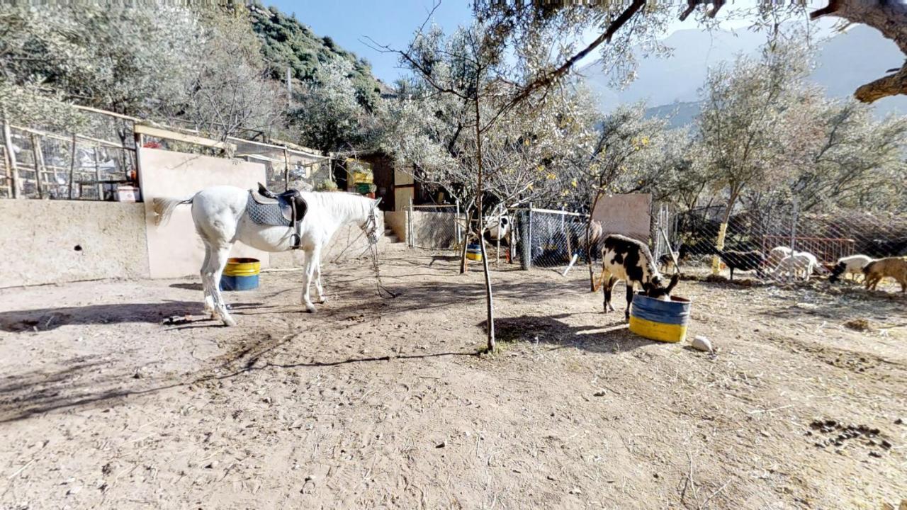 Ferme By Ikalimo Hotel Ourika Exterior photo